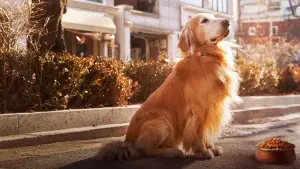 Backdrop to the movie "Dog Days" #756060