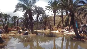 Backdrop to the movie "Lawrence of Arabia" #751389