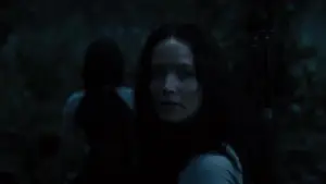 Backdrop to the movie "The Hunger Games: Catching Fire" #836271