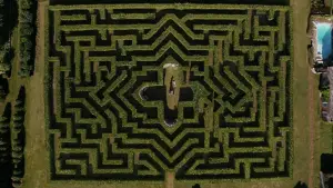 Backdrop to the movie "Saltburn" #748605