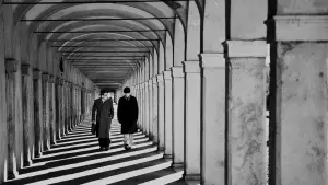 Backdrop to the movie "The American Backyard" #727845