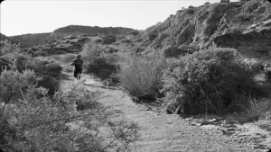 Backdrop to the movie "Eureka" #541465