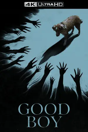Poster to the movie "Good Boy" #770387