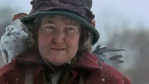 Backdrop to the movie "Home Alone 2: Lost in New York" #567471