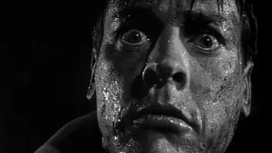 Backdrop to the movie "Invasion of the Body Snatchers" #902028