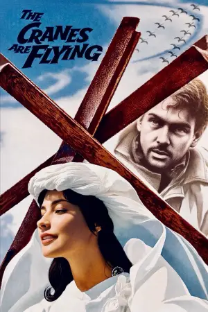 Poster to the movie "The Cranes Are Flying" #720505