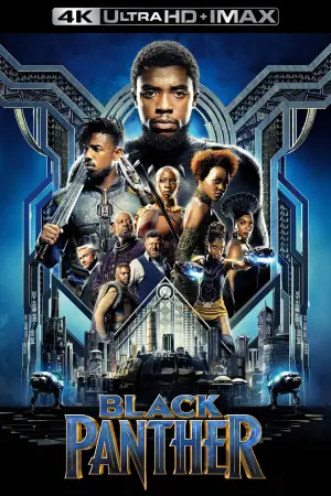 Poster to the movie "Black Panther" #563112