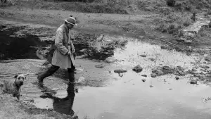 Backdrop to the movie "Disappearance" #537705