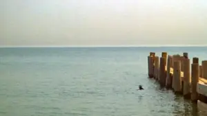 Backdrop to the movie "Ordinary People" #898153