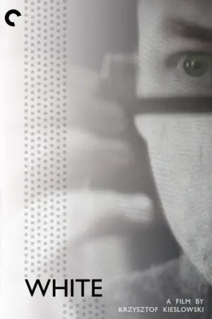 Poster to the movie "Three Colors: White" #99650