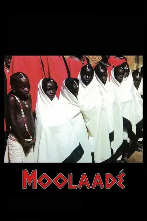 Movie poster "Moolaadé"