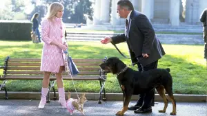 Backdrop to the movie "Legally Blonde 2: Red, White & Blonde" #673061