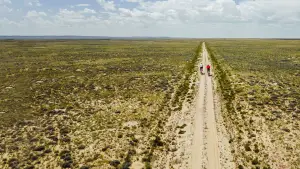 Backdrop to the movie "The Devil