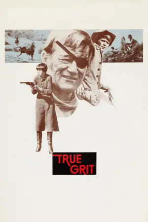 Poster to the movie "True Grit" #100899