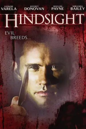 Poster to the movie "Hindsight" #741173
