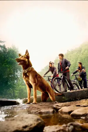 Poster to the movie "Max" #887821