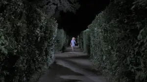 Backdrop to the movie "Four Flies on Grey Velvet" #283181