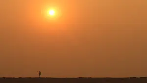 Backdrop to the movie "Sitara" #418361