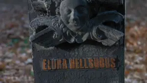 Backdrop to the movie "Elvira