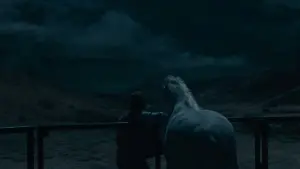 Backdrop to the movie "Nope" #255678