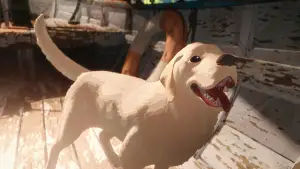 Backdrop to the movie "Flow" #586614