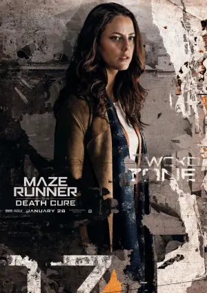 Poster to the movie "Maze Runner: The Death Cure" #788520