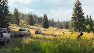 Backdrop to the movie "Rebuilding" #527805