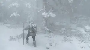 Backdrop to the movie "Whispers in the Woods" #534645