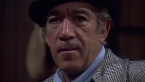 Backdrop to the movie "Across 110th Street" #421917