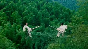 Backdrop to the movie "Crouching Tiger, Hidden Dragon" #633597
