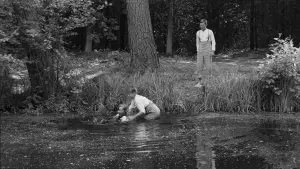 Backdrop to the movie "The White Ribbon" #211444