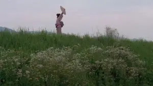 Backdrop to the movie "Lone Wolf and Cub: Baby Cart to Hades" #948504