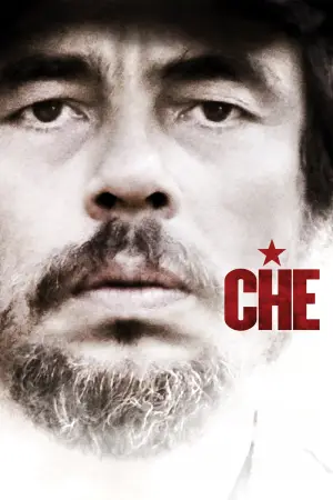 Poster to the movie "Che: Part Two" #745128