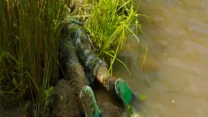 Backdrop to the movie "Downriver" #496896