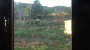 Backdrop to the movie "From Here to the Apple Tree" #781795