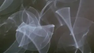 Backdrop to the movie "Comingled Containers" #706789