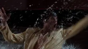 Backdrop to the movie "Ace Ventura: Pet Detective" #804830