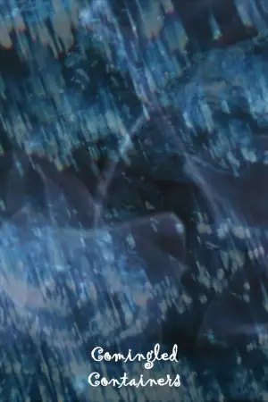 Poster to the movie "Comingled Containers" #706807