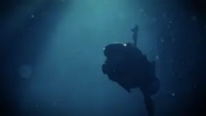 Backdrop to the movie "Hotspring Sharkattack" #679621