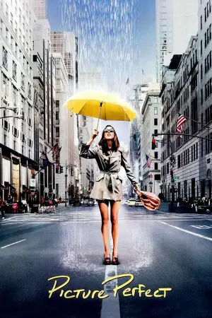 Poster to the movie "Picture Perfect" #678232