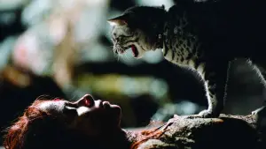Backdrop to the movie "Catwoman" #919082