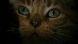 Backdrop to the movie "Alien" #798623