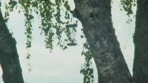 Backdrop to the movie "Du slår meg som en kul fyr" #563285