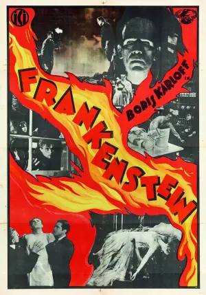Poster to the movie "Frankenstein" #641099