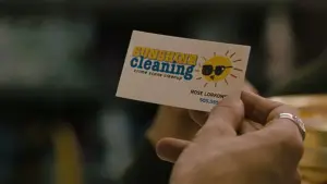 Backdrop to the movie "Sunshine Cleaning" #610152