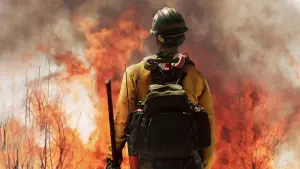 Backdrop to the movie "Only the Brave" #666113