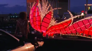 Backdrop to the movie "Showgirls" #606752