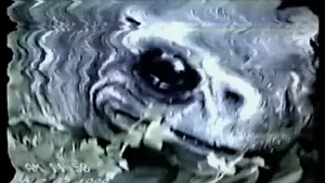 Backdrop to the movie "Frogman" #706857