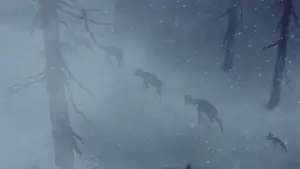 Backdrop to the movie "Bambi" #669383