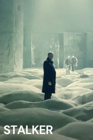 Poster to the movie "Stalker" #734138